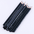 14 PCs/Set Professional Sketch Drawing Bleistift Set Hb 2B 6H 4H 2H 3B 4B 5B 6B 10B 12B 1B MALES PISTERSPIELSCHAFTEN STIPMENERY SUPPLIES